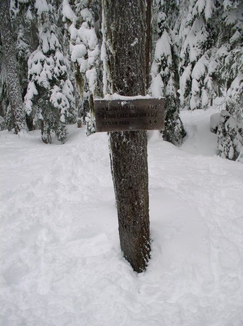 Frog Lake Snowshoe Jan 21 2005 004 